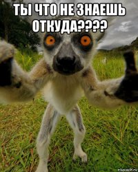 ты что не знаешь откуда???? 