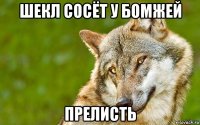 шекл сосёт у бомжей прелисть