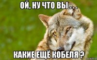 ой, ну что вы . . . какие ещё кобеля ?