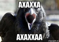 ахахха ахаххаа