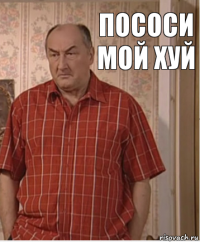 Пососи мой хуй