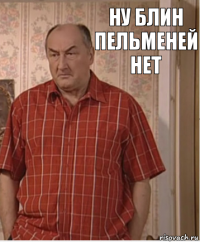 ну блин пельменей нет