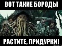 вот такие бороды растите, придурки!