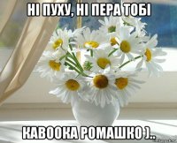 ні пуху, ні пера тобі кавоока ромашко )..