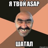 я твой asap шатал