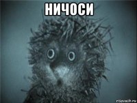 ничоси 