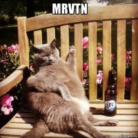 mrvtn 