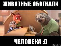 животные обогнали человека :d