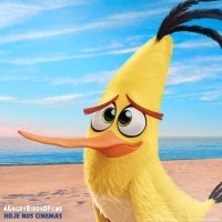 Все мемы Angry birds Злые Птицы