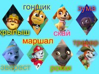 крепыш гонщик скай зума эверест маршал рокки трекер, Мем Щенячий патруль
