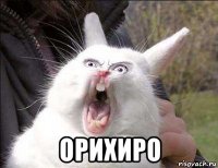  орихиро
