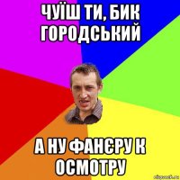 чуїш ти, бик городський а ну фанєру к осмотру