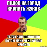 пішов на город кропить жукив та так накропився шо потом жуки мене начали кропить