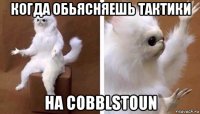 когда обьясняешь тактики на cobblstoun