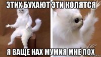 этих бухают эти колятся я ваще нах мумия мне пох