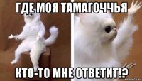 где моя тамагоччья кто-то мне ответит!?