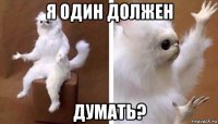 я один должен думать?