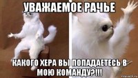 уважаемое рачье какого хера вы попадаетесь в мою команду?!!!