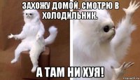 захожу домой. смотрю в холодильник. а там ни хуя!