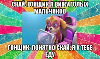 скай: гонщик я вижу голых мальчиков гонщик: понятно скай, я к тебе еду