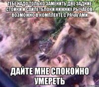 тебе надо только заменить две задние стойки и сайлетблоки нижних рычагов, возможно в комплекте с рачагами дайте мне спокойно умереть