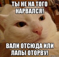 ты не на того нарвался! вали отсюда или лапы оторву!