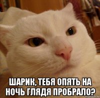  шарик, тебя опять на ночь глядя пробрало?