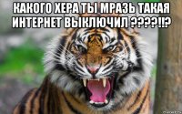 какого хера ты мразь такая интернет выключил ????!!? 