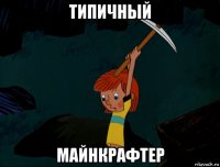 типичный майнкрафтер