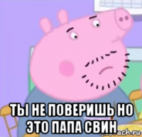  ты не поверишь но это папа свин