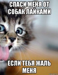 спаси меня от собак лайками если тебя жаль меня