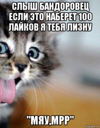 слыш бандоровец если это наберет 100 лайков я тебя лизну "мяу,мрр"