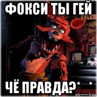 фокси ты гей чё правда?*_*