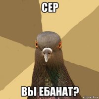 сер вы ебанат?