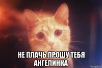  не плачь прошу тебя ангелинка