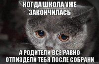 когда школа уже закончилась а родители всё равно отпиздели тебя после собрани