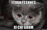 yevan tesnnes xi chi grum