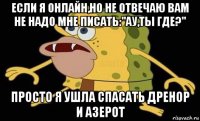 если я онлайн,но не отвечаю вам не надо мне писать:"ау,ты где?" просто я ушла спасать дренор и азерот