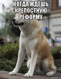 когда ждёшь крепостную реформу 