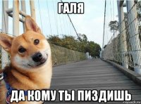 галя да кому ты пиздишь