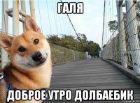 галя доброе утро долбаебик