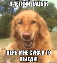 я 4ёткий пацык верь мне сука а то выеду!