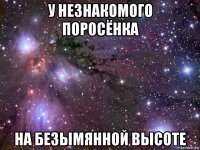 у незнакомого поросёнка на безымянной высоте