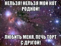 нельзя! нельзя мой кот родной! любить меня, печь торт с другой!