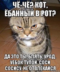 чё-чё? кот, ёбанный в рот? да это ты, блять, урод. уебок тупой. соси сосису, не отвлекайся