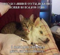 тихо,без лишней суеты,медленно ложим на пол,всю хуню и выходим спиной в дверь,спокоойнееее...
