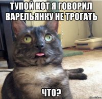 тупой кот я говорил варельянку не трогать что?