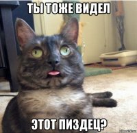 ты тоже видел этот пиздец?