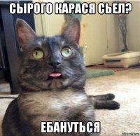 сырого карася сьел? ебануться