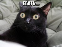 ебать.... 